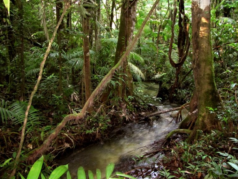 Justiça Militar em Manaus (AM) mantém prisão de colombiano após confronto na fronteira; ferido vai a óbito