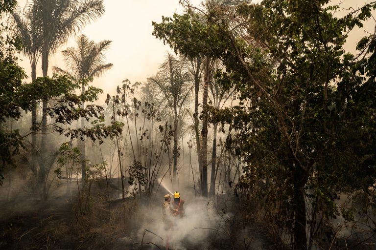 Vemepa destina R$ 50 mil à Defesa Civil de Manaus para ações preventivas contra queimadas