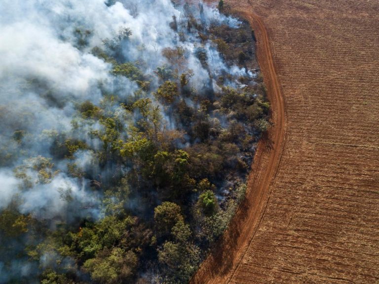 Agricultor não pode alegar desconhecimento de embargo quando tinha dever de verificar a área
