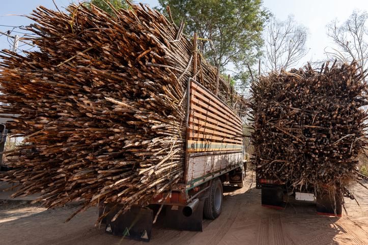 Justiça do Trabalho deve julgar ação sobre excesso de carga no transporte de cana-de-açúcar