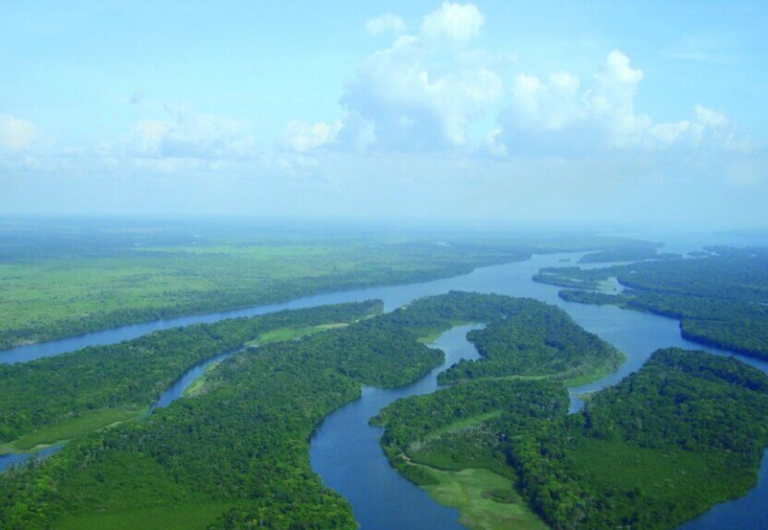 Governo lança concessão de floresta no Amazonas e amplia área federal sob manejo sustentável