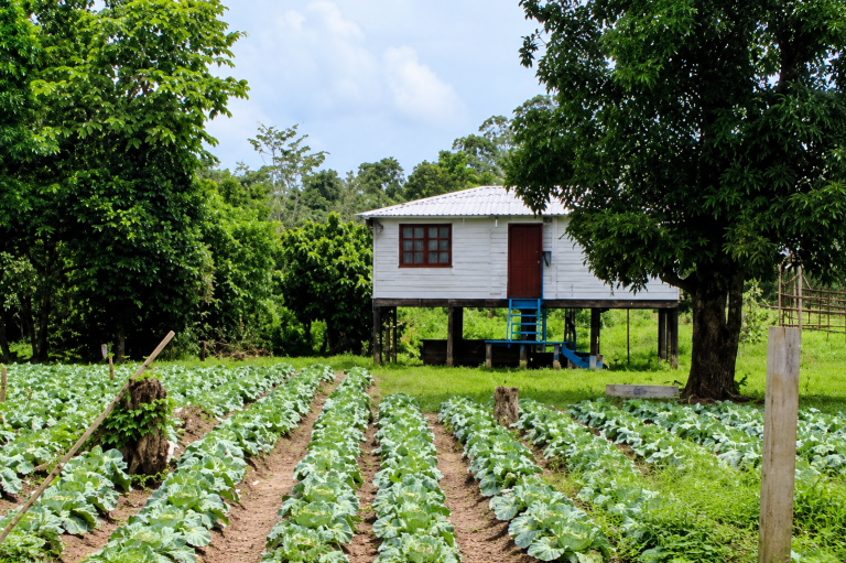 Doença que impede trabalhador rural de exercer atividade de sustento garante aposentadoria