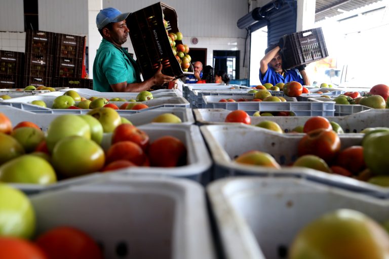 Lei prioriza distribuição de alimentos para rede de acolhimento a mulheres vítimas de violência